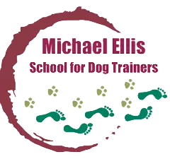Michael Ellis School certification