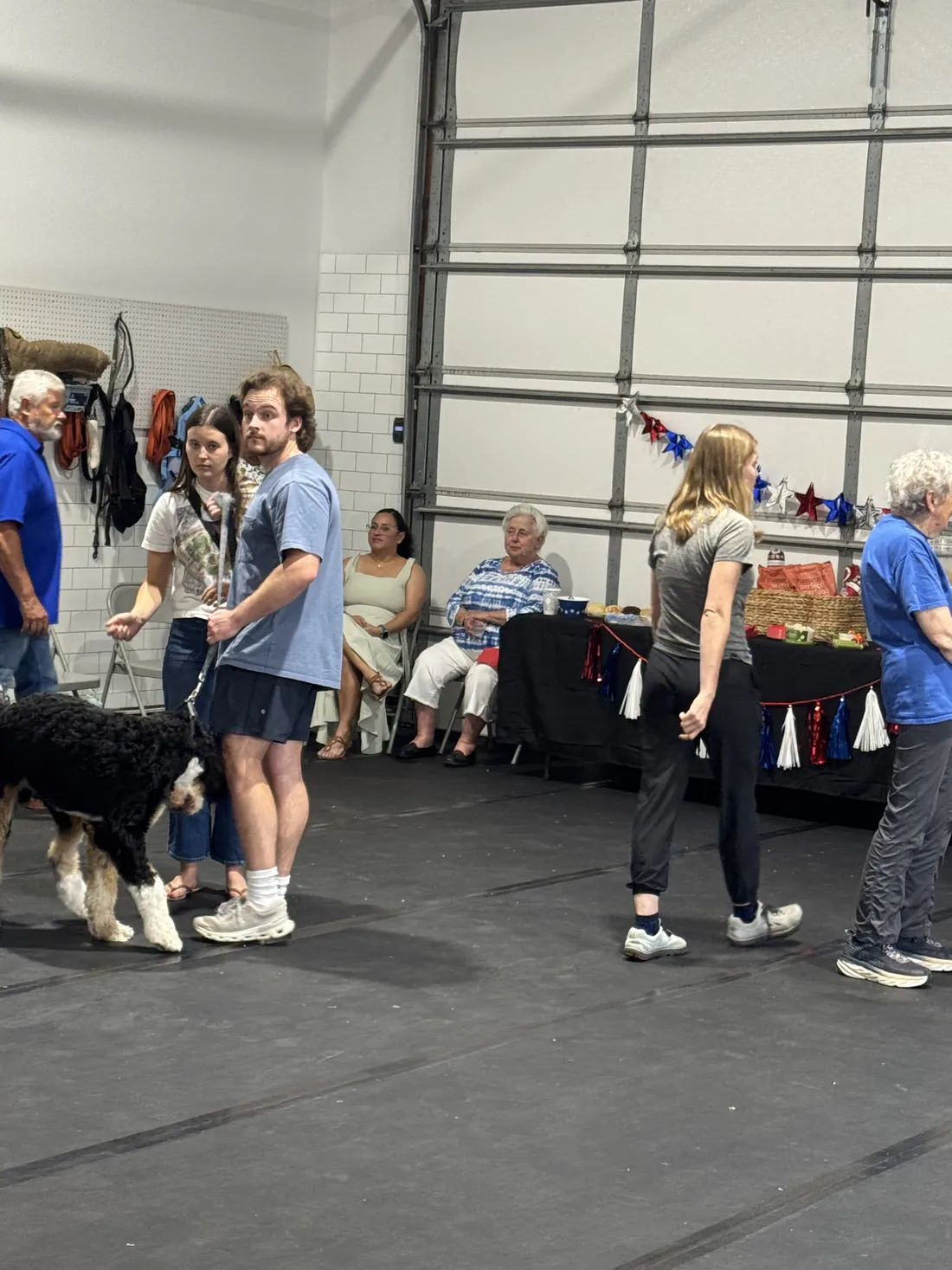 Owners and dogs at a Canine Nation group class session