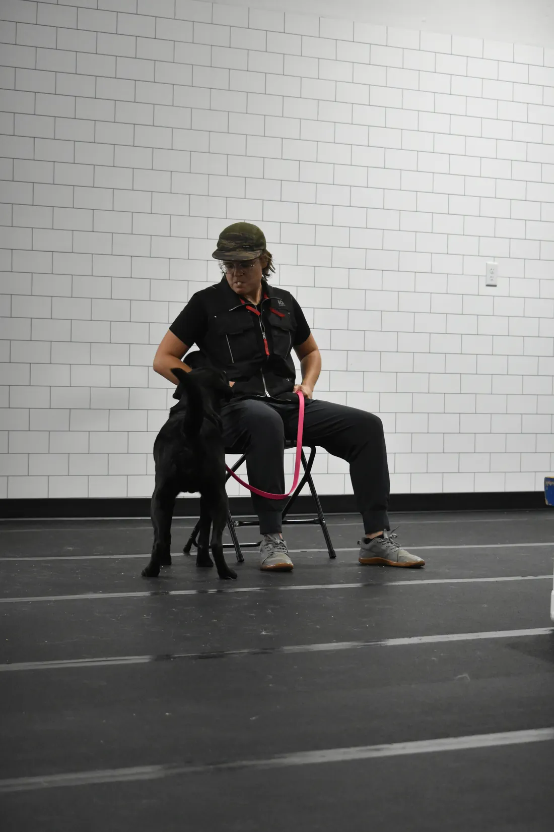 A handler and dog practising a settle during a Canine Nation class