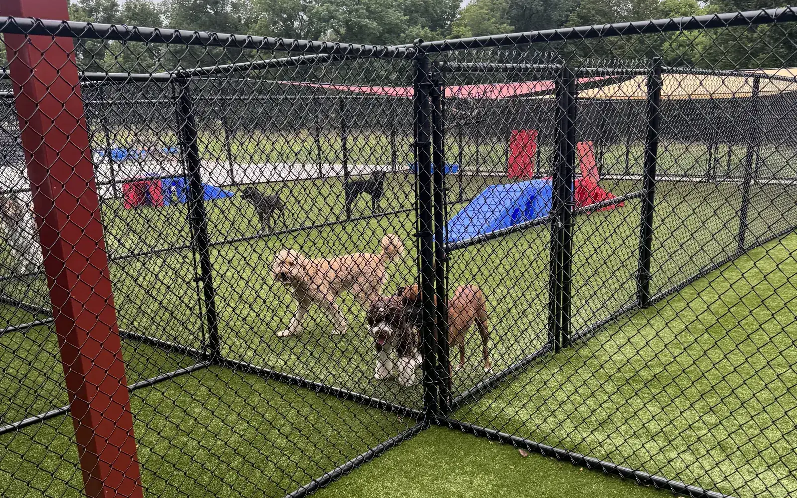Turf play yards and agility equipment at the Canine Nation ranch in Farmington, Arkansas